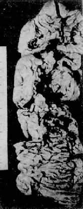 �᳦�෢����<a href=