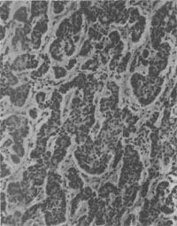 �᳦��<a href=